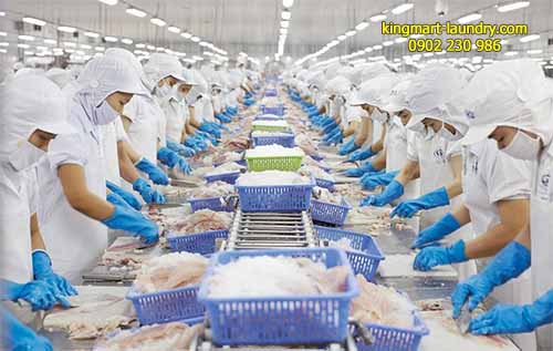 Vấn đề vệ sinh an toàn thực phẩm đối với ngành chế biến hải sản là điều quan trọng